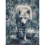 (image for) Three Eyed Raven (Wolf Portion)